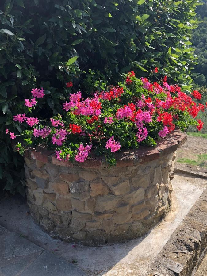 Agriturismo La Casella Castelfranco di Sopra المظهر الخارجي الصورة