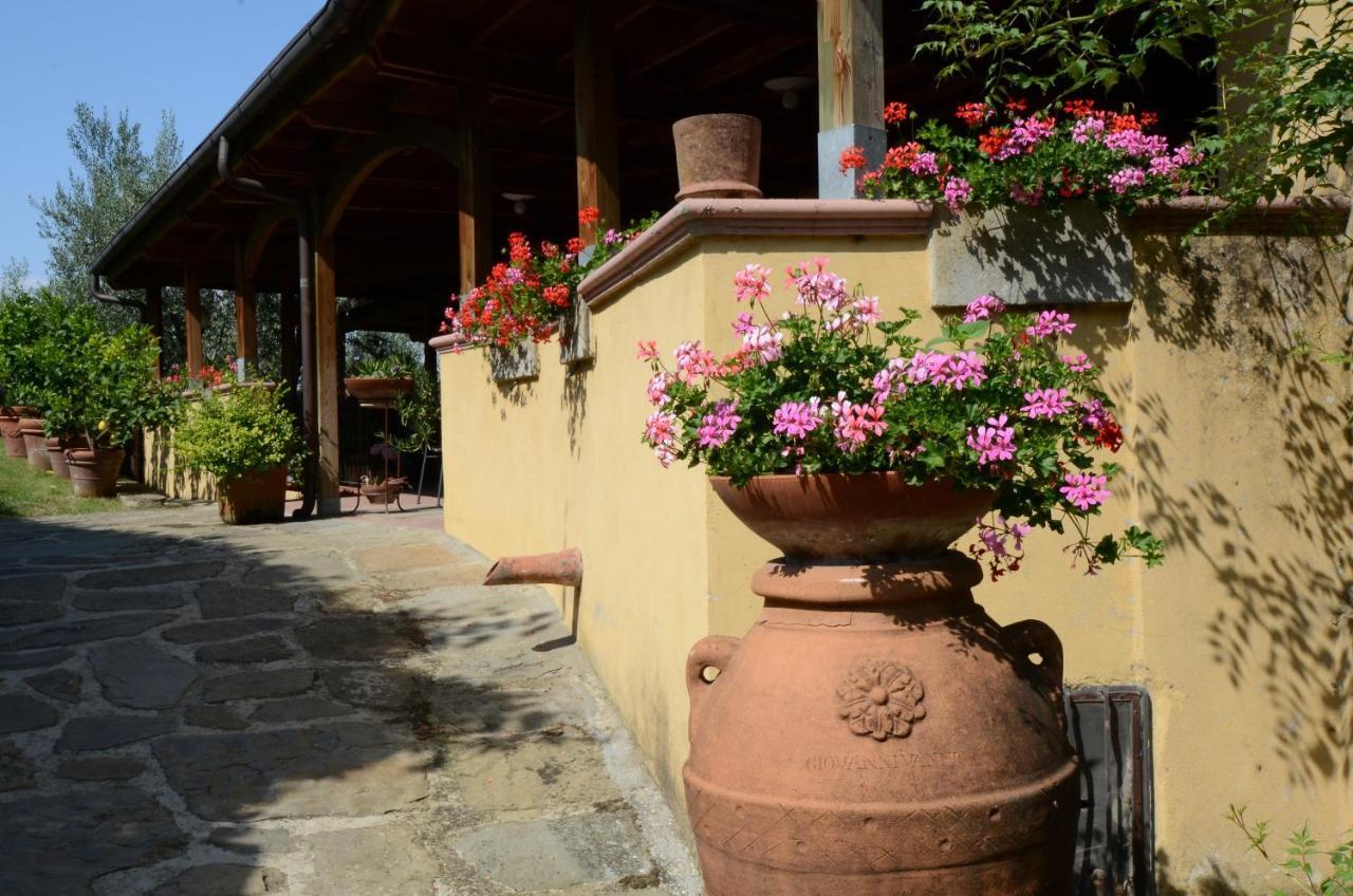 Agriturismo La Casella Castelfranco di Sopra المظهر الخارجي الصورة